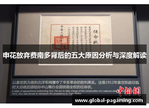 申花放弃费南多背后的五大原因分析与深度解读
