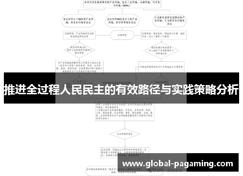 推进全过程人民民主的有效路径与实践策略分析