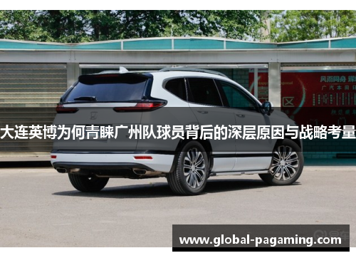 大连英博为何青睐广州队球员背后的深层原因与战略考量