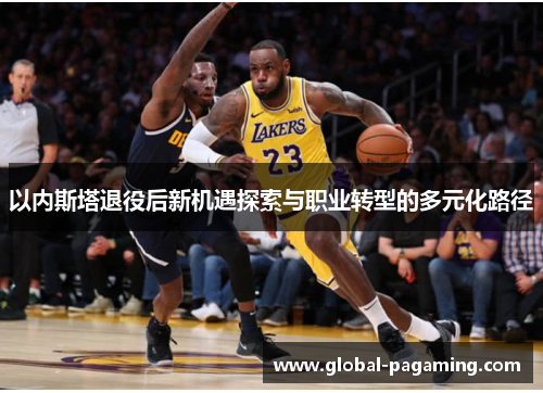 以内斯塔退役后新机遇探索与职业转型的多元化路径