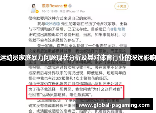 运动员家庭暴力问题现状分析及其对体育行业的深远影响 运动员家庭暴力问题现状分析及其对体育行业的深远影响