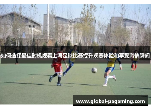 如何选择最佳时机观看上海足球比赛提升观赛体验和享受激情瞬间