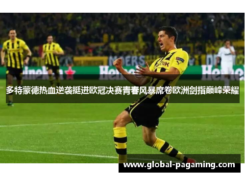多特蒙德热血逆袭挺进欧冠决赛青春风暴席卷欧洲剑指巅峰荣耀